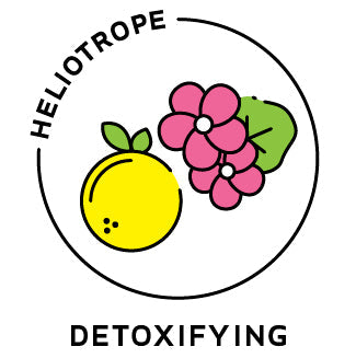 Essential Oil Blend Detoxifying (Grapefruit Geranium)-0
