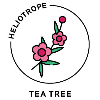 Essential Oil - Tea Tree-0